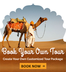 mount abu and ambaji tour package